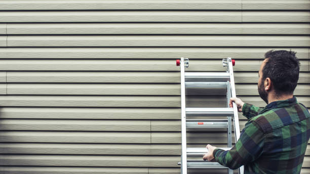 Affordable Siding Repair and Maintenance Services in Robstown, TX