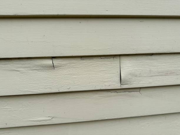 Best Steel Siding Installation  in Robstown, TX